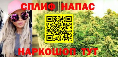 гидра Обь